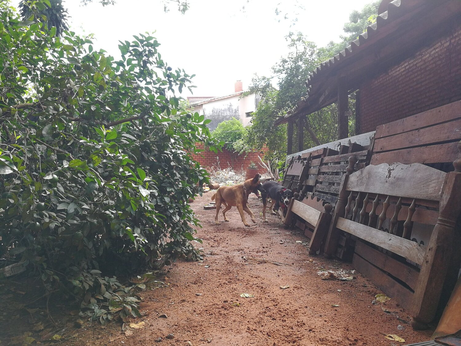 Photo #5832964