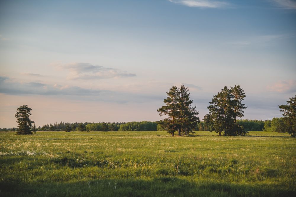 Photograph by Денис Кошкин