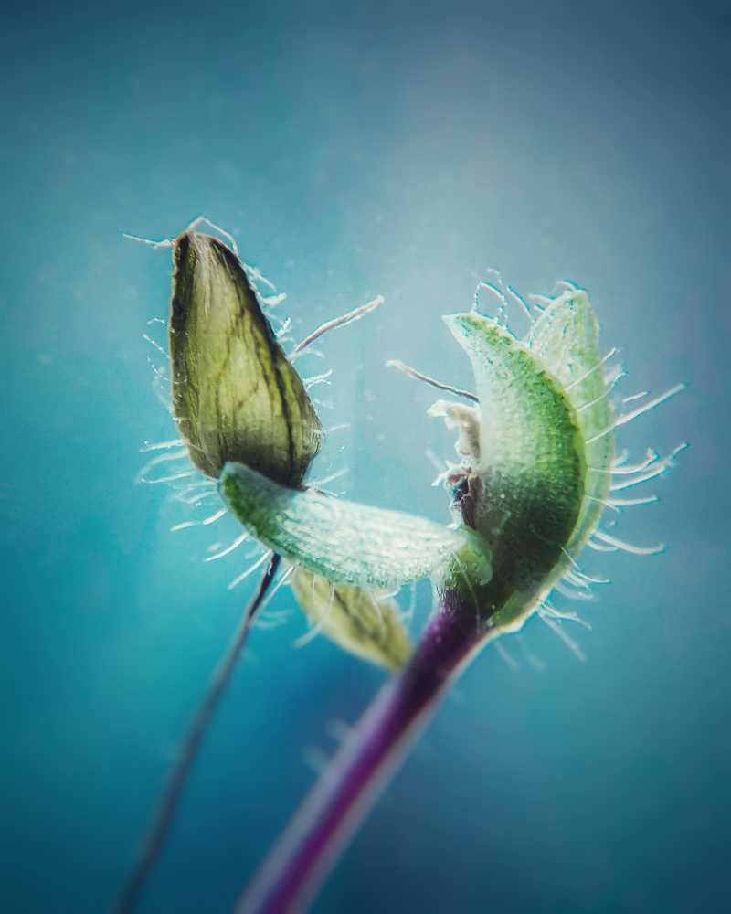 Танец весны...