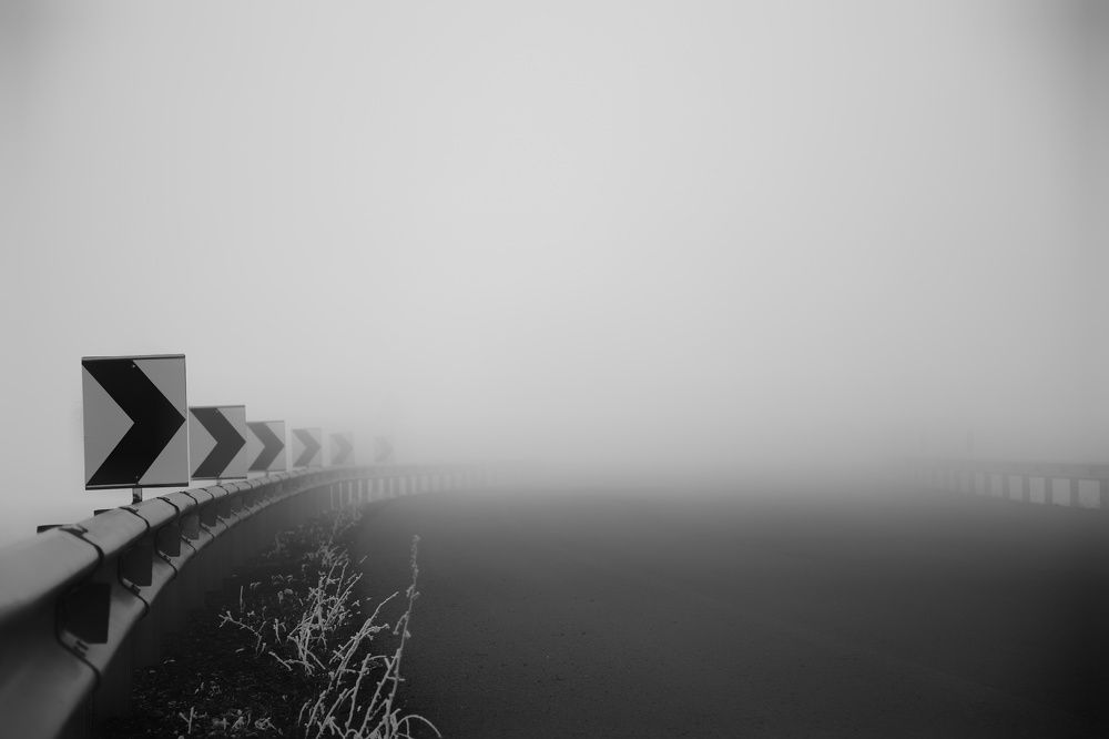 Photograph by Farzaneh Vaezmomeni