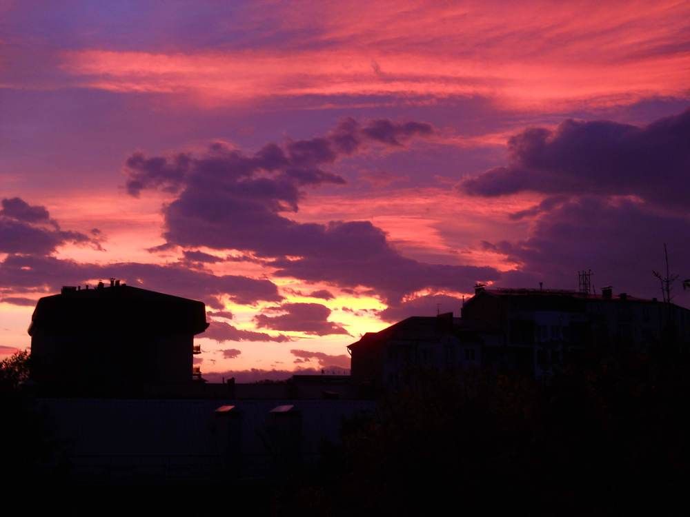 Photograph by Тимур Хохоев