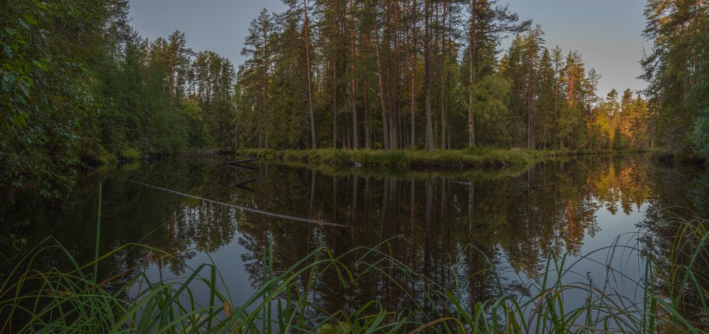 Photograph by Денис Кошкин