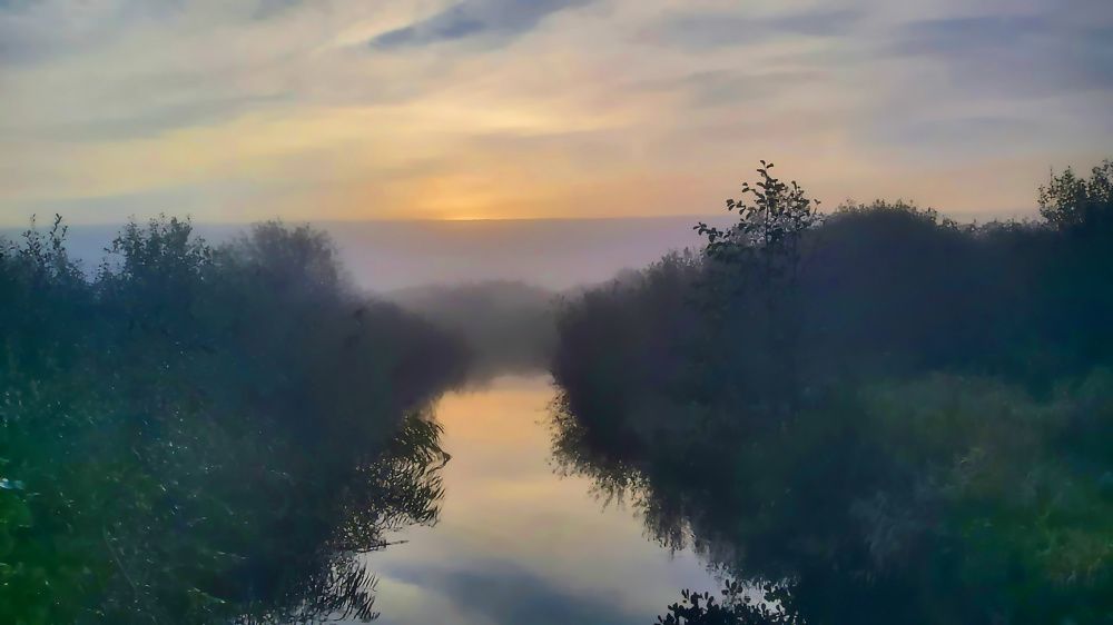 Photograph by Егор Журавлёв