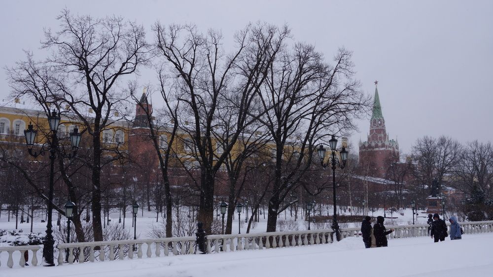 Фотография автора Кристина Бородкина