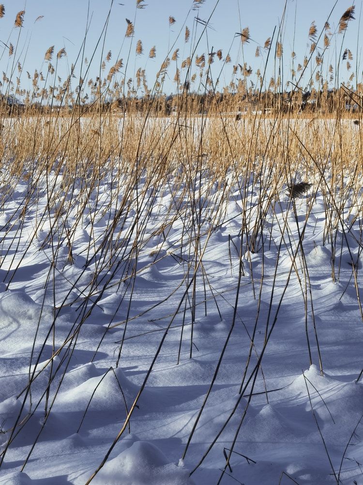 Photograph by Александр Гоцуляк