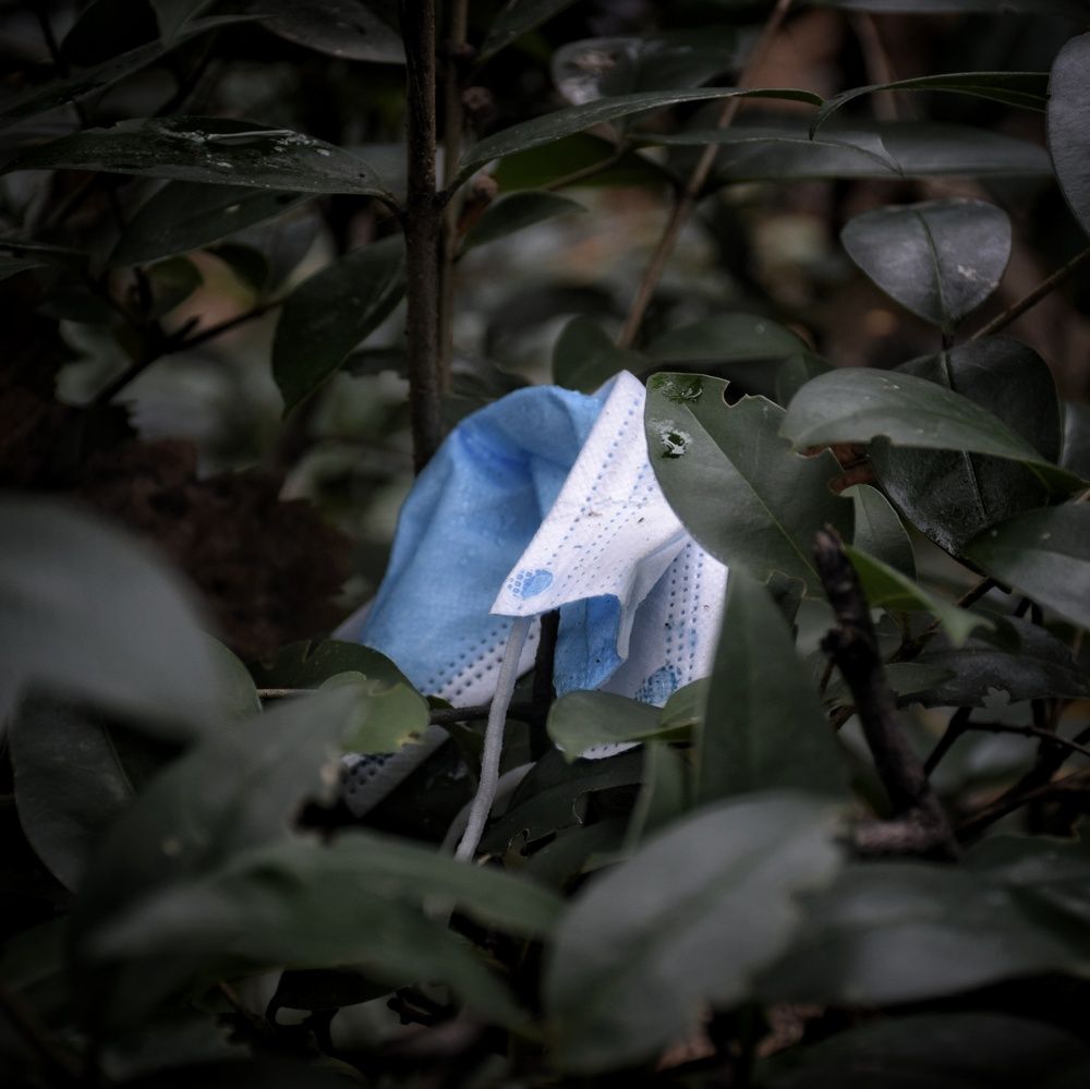 Photograph by José Ramón Domínguez