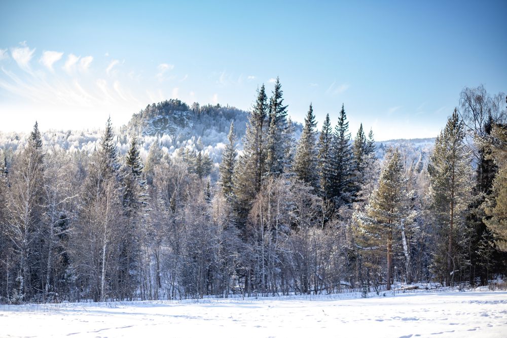 Photograph by Анастасия Демьянова