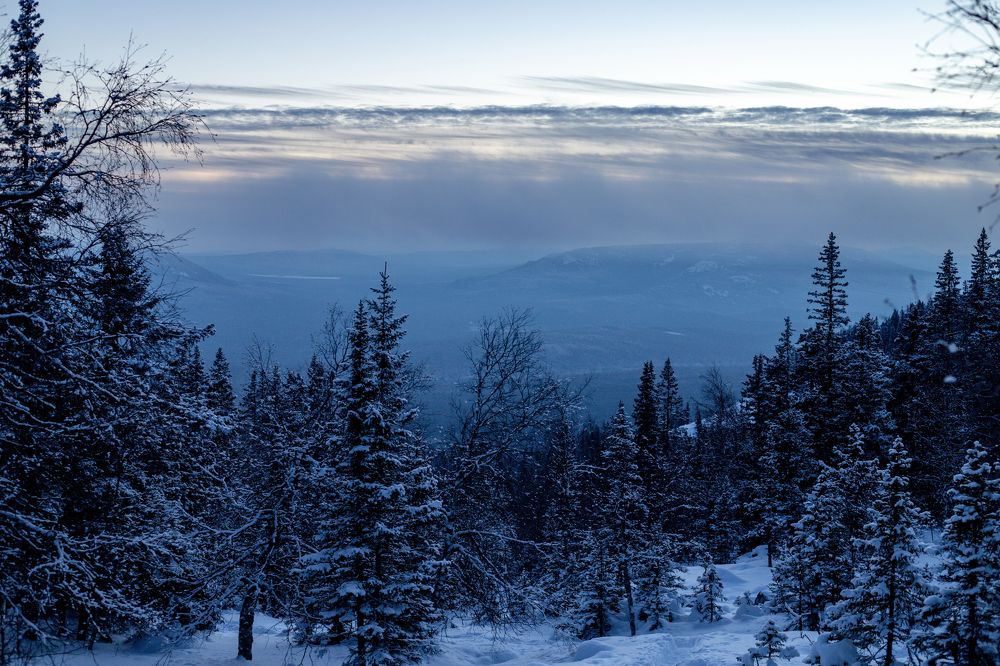 Photograph by Анастасия Демьянова