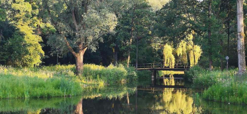 Photograph by Simona Bartkute