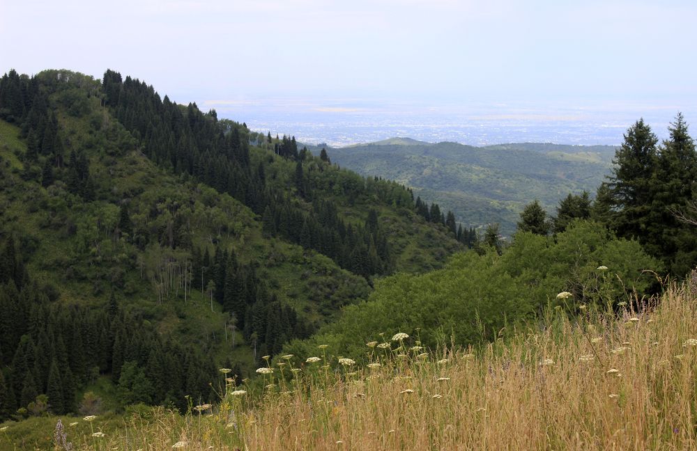 Photograph by Аля Портных