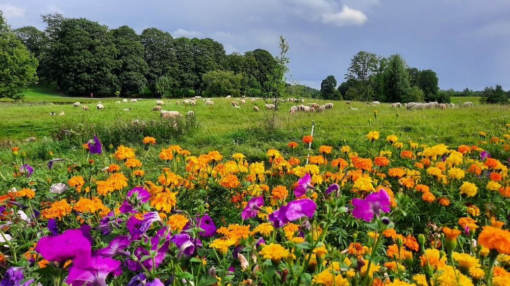 Photograph by Simona Bartkute