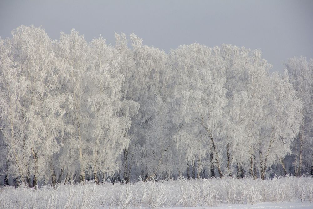 Photograph by Юлия Ломаева