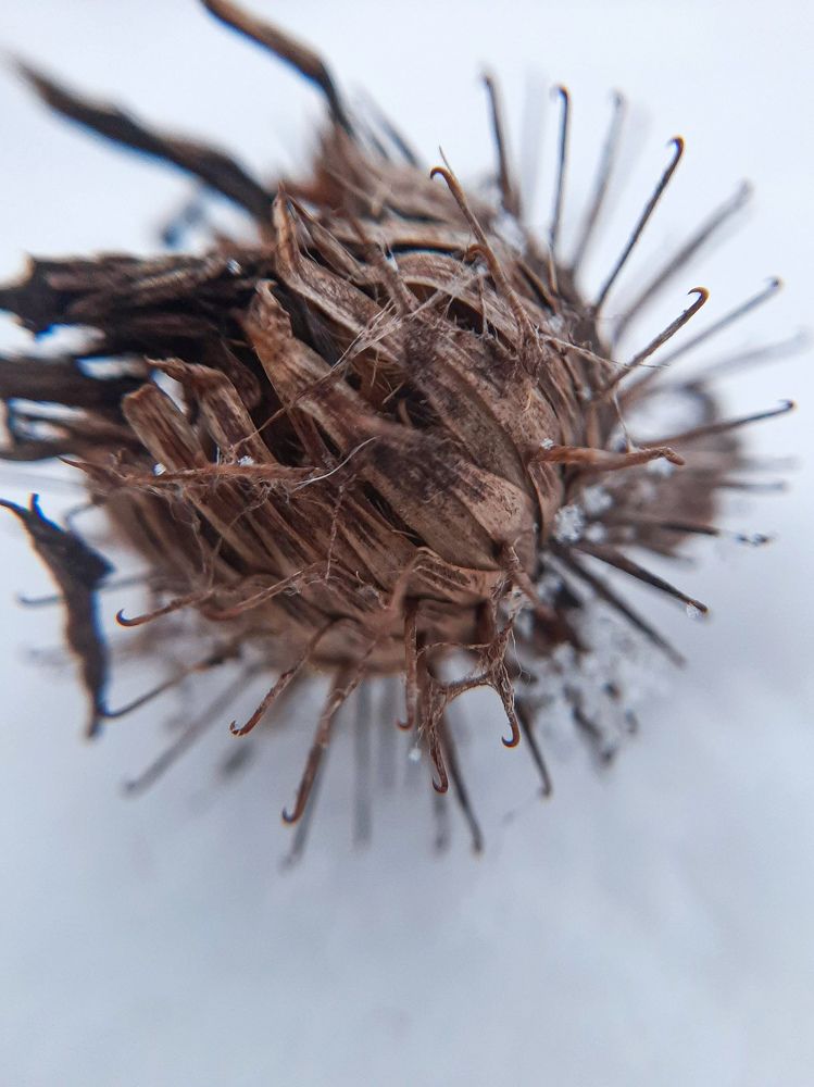 Photograph by Мария Глотова