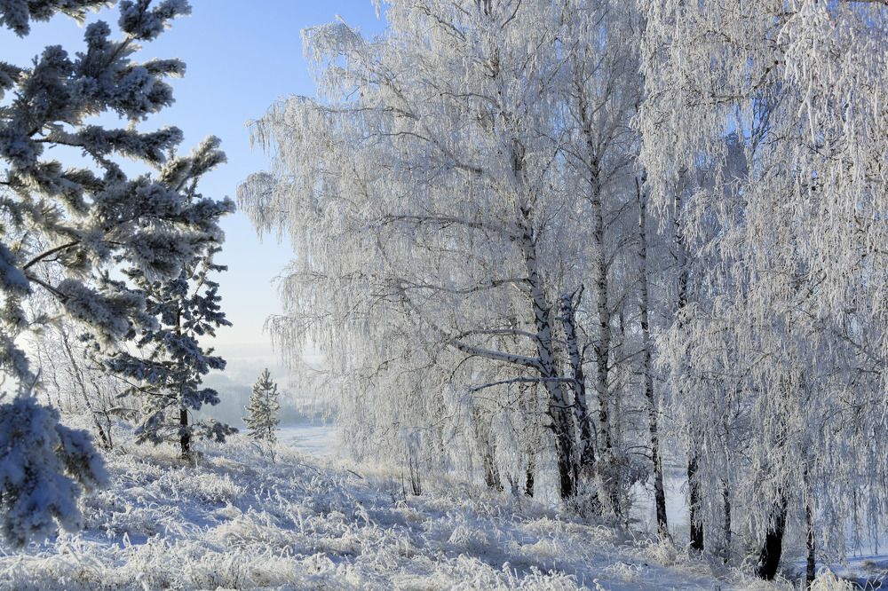 Фотография автора Рамиль Фаттахов