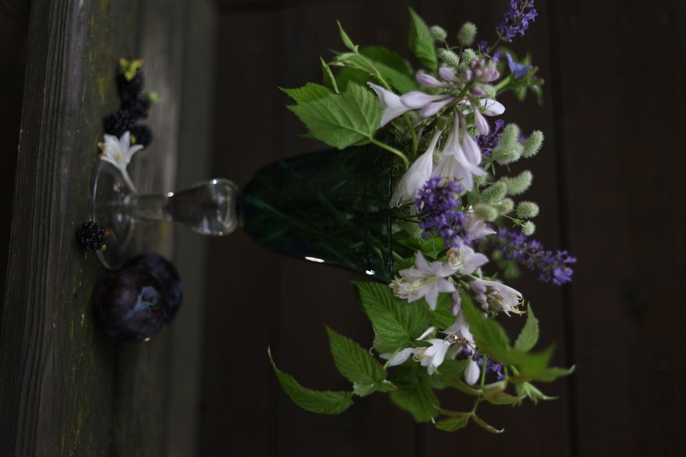 Photograph by Людмила Панченко