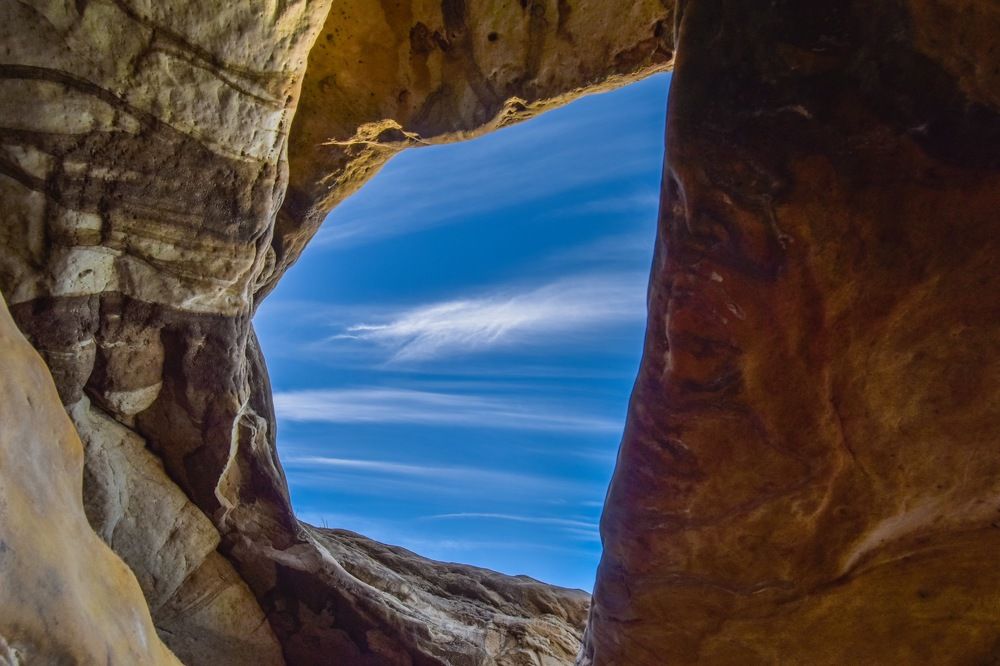 Photograph by Julia Diam