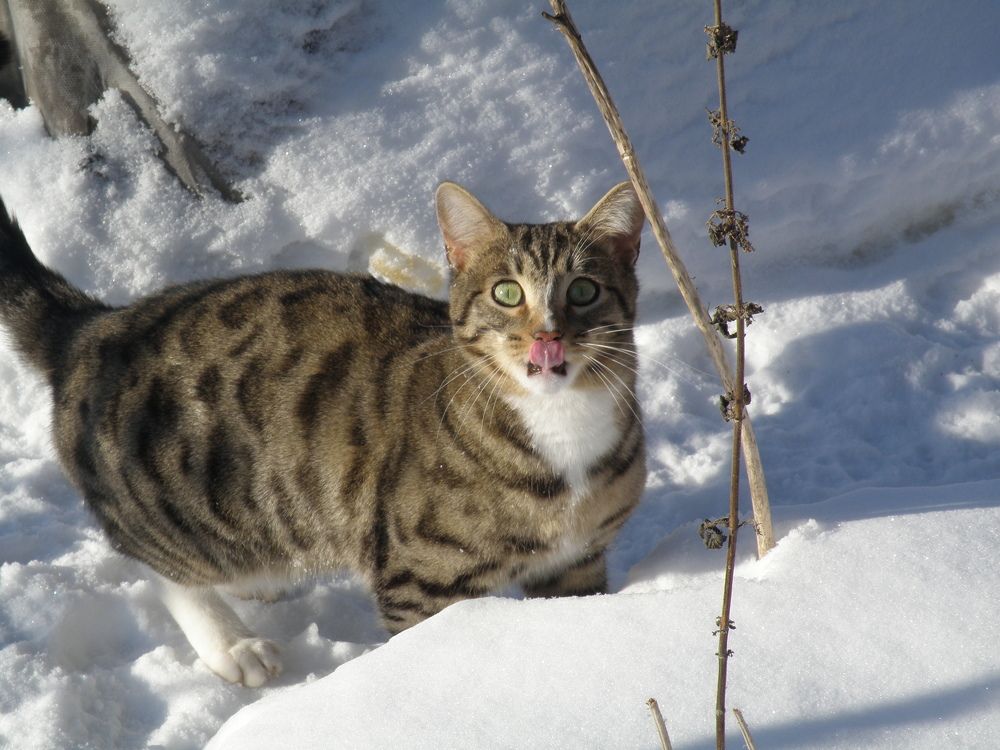 Photograph by Александра Денисова