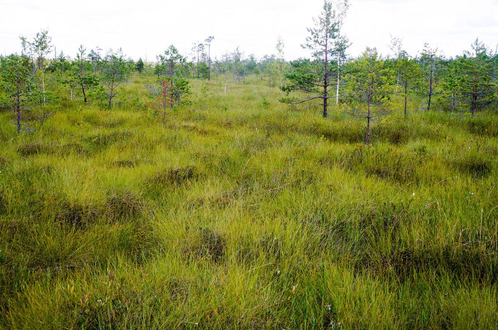 Photograph by Босак Ирина