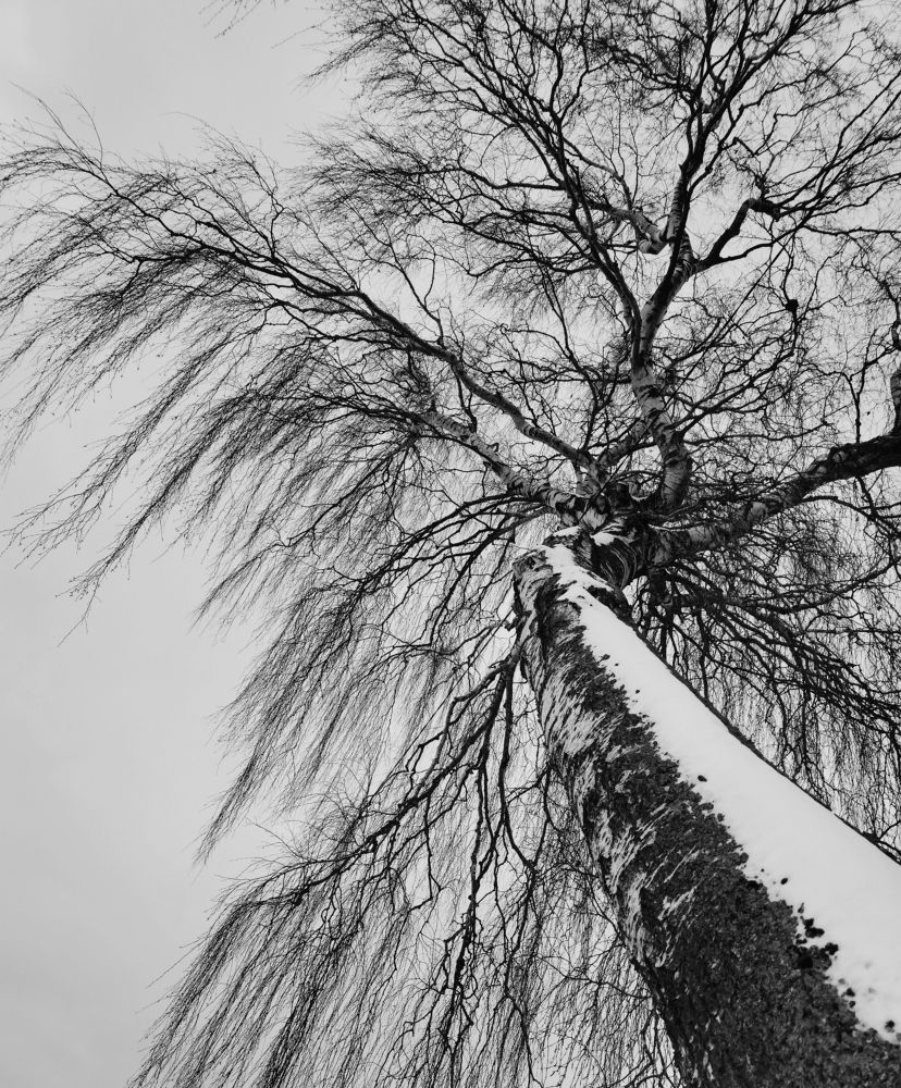 Photograph by Александр Гоцуляк