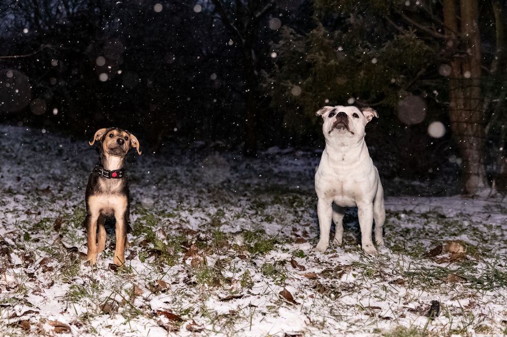 Photograph by Спесивцева Эльмира