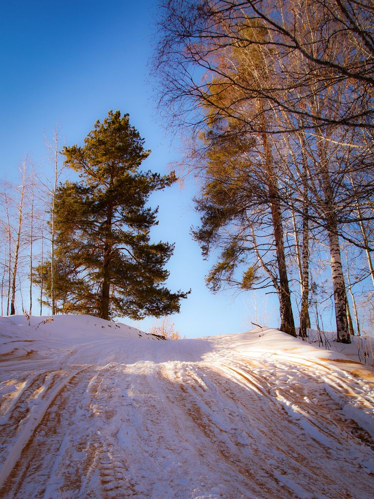 Photograph by Dmitriy  Dodonov