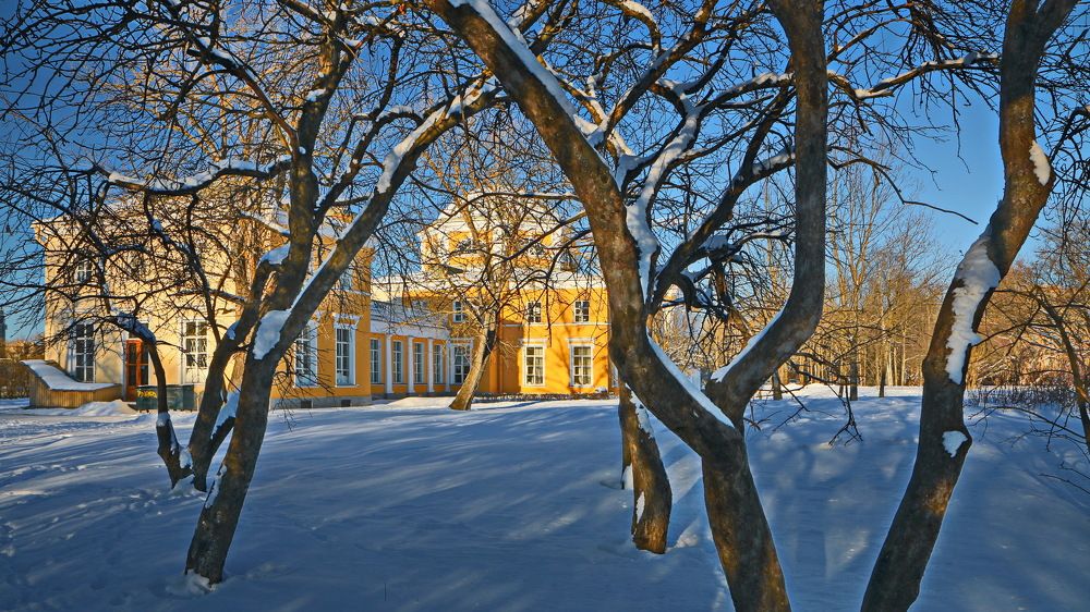 Фотография автора Анатолий Дауров