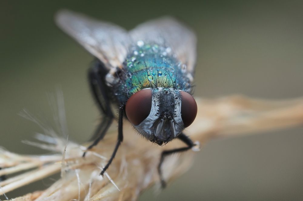 Photograph by Глебов Максим