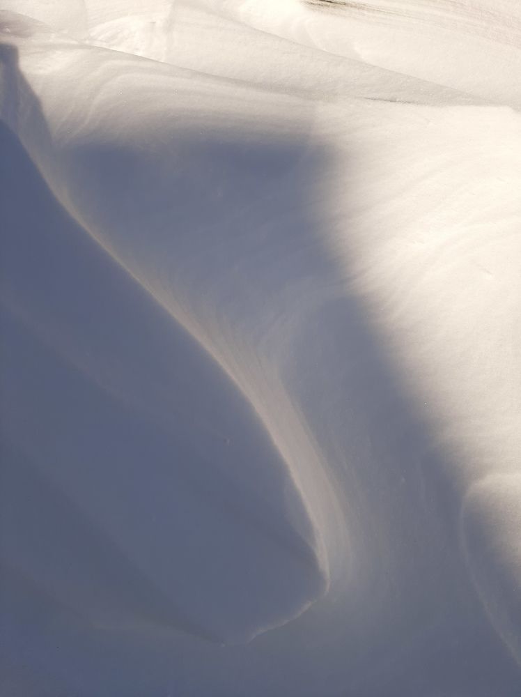Фотография автора Светлана Дунаева