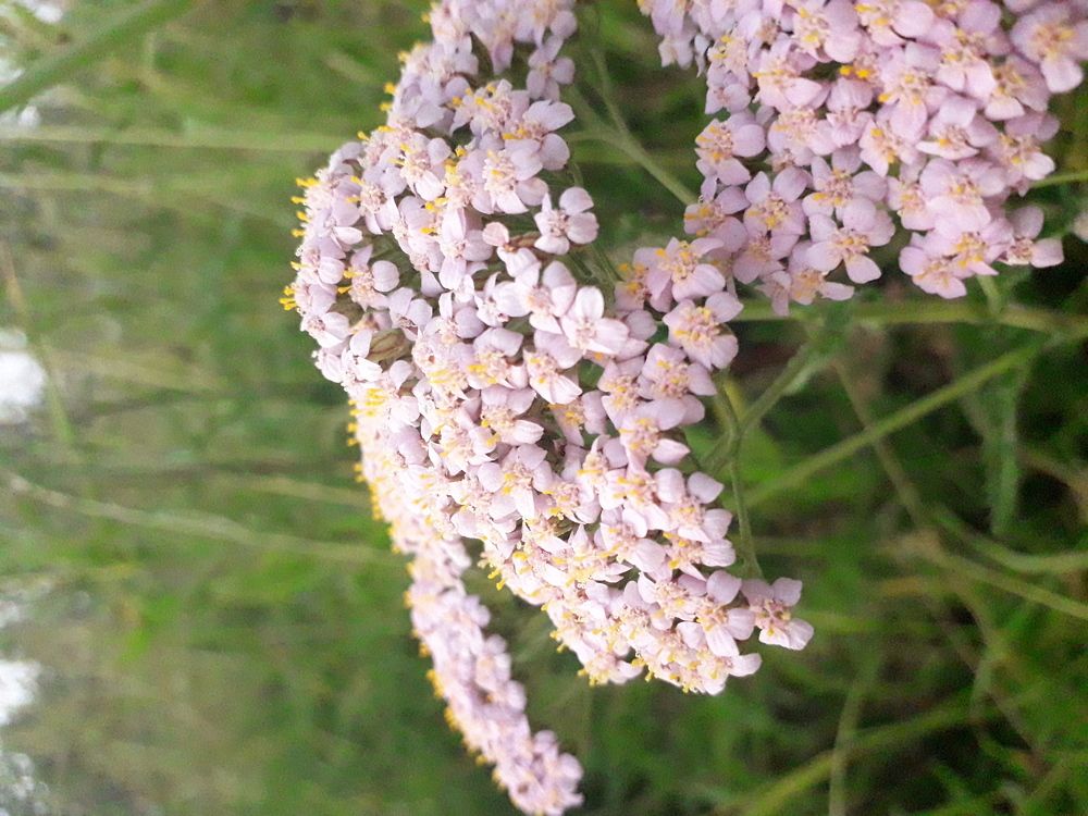 Photograph by Полина Денисова