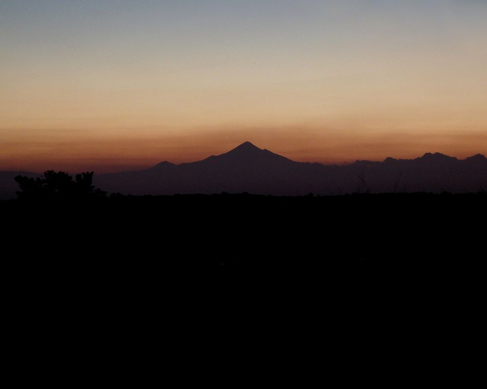 Photo #5833698