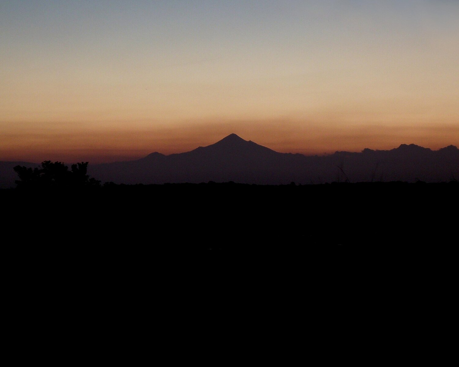 Photo #5833698