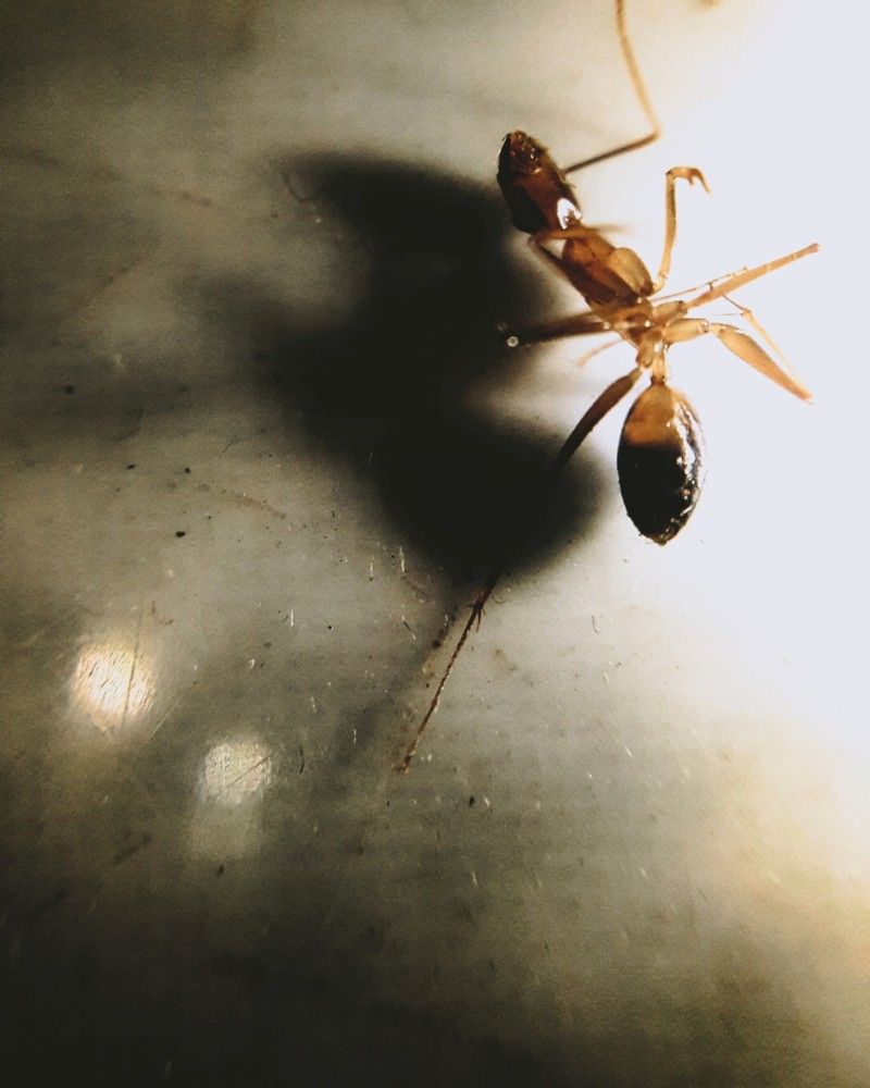 Photograph by Dileepa Senavirathna