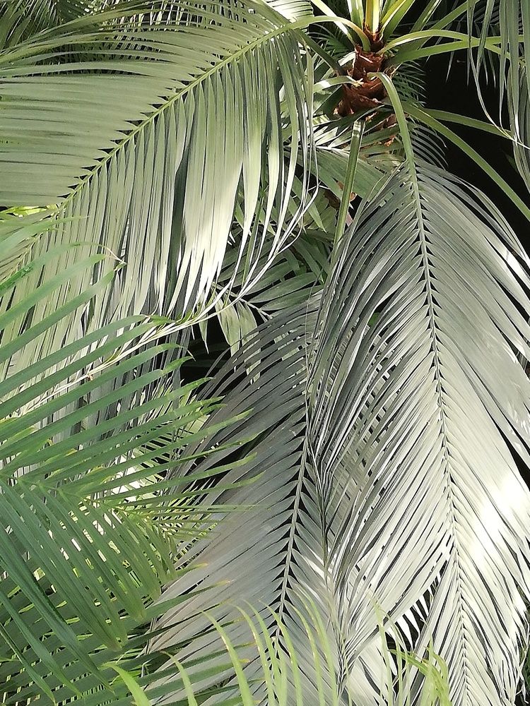 Photograph by Olga Kazakova