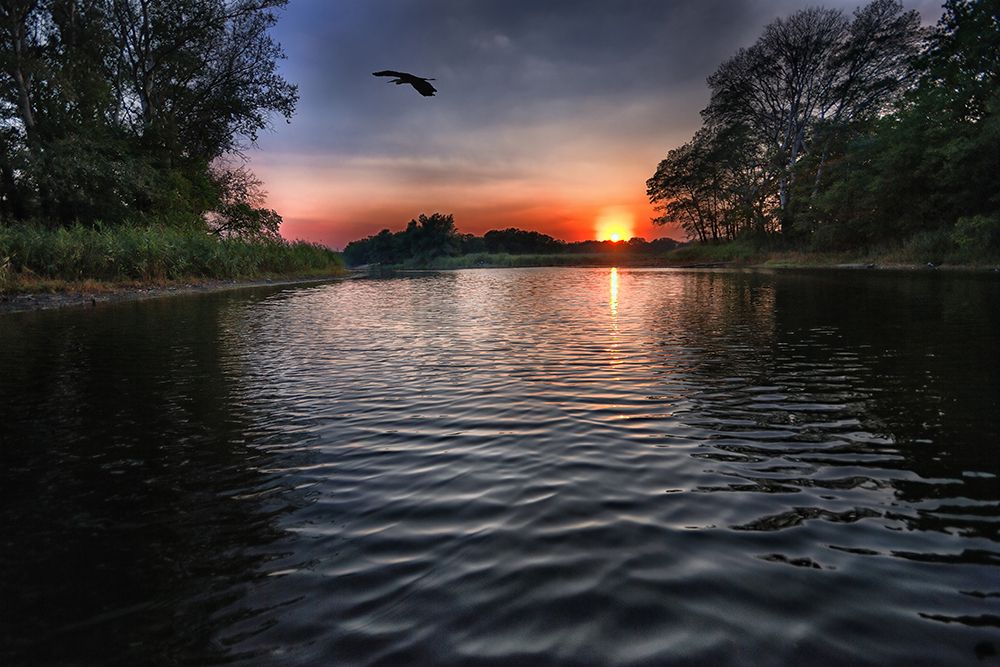 Photograph by Валентин Александров