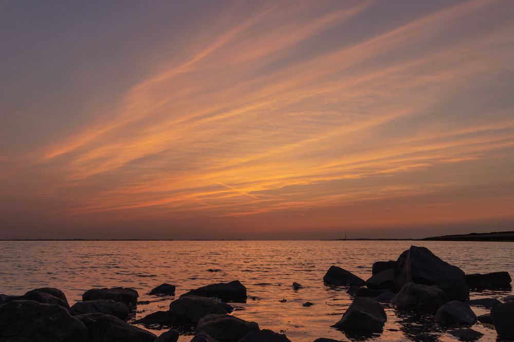 Photograph by Silvia Koopmans