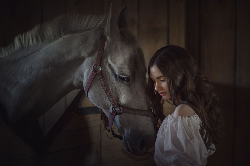 Старый друг