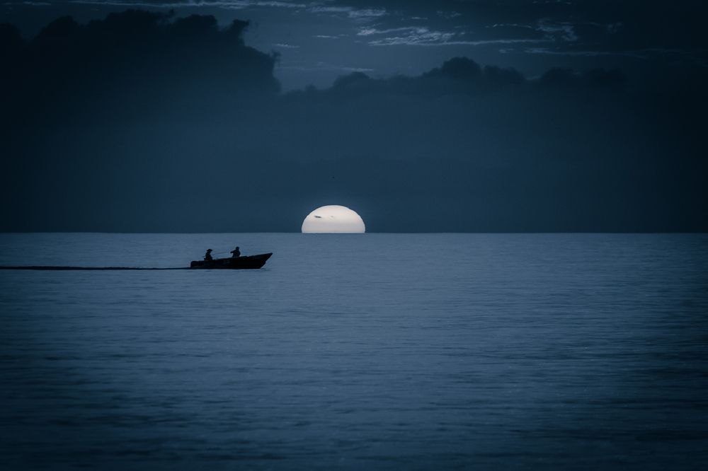 Photograph by Александр Антонов