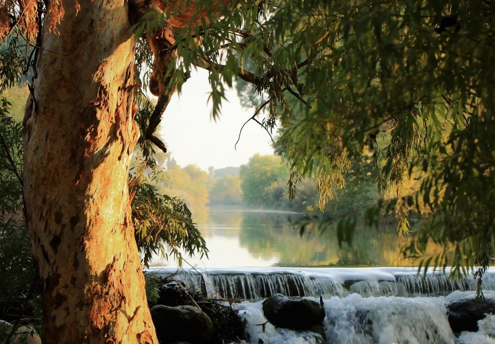 Photograph by Дмитрий Куркулин