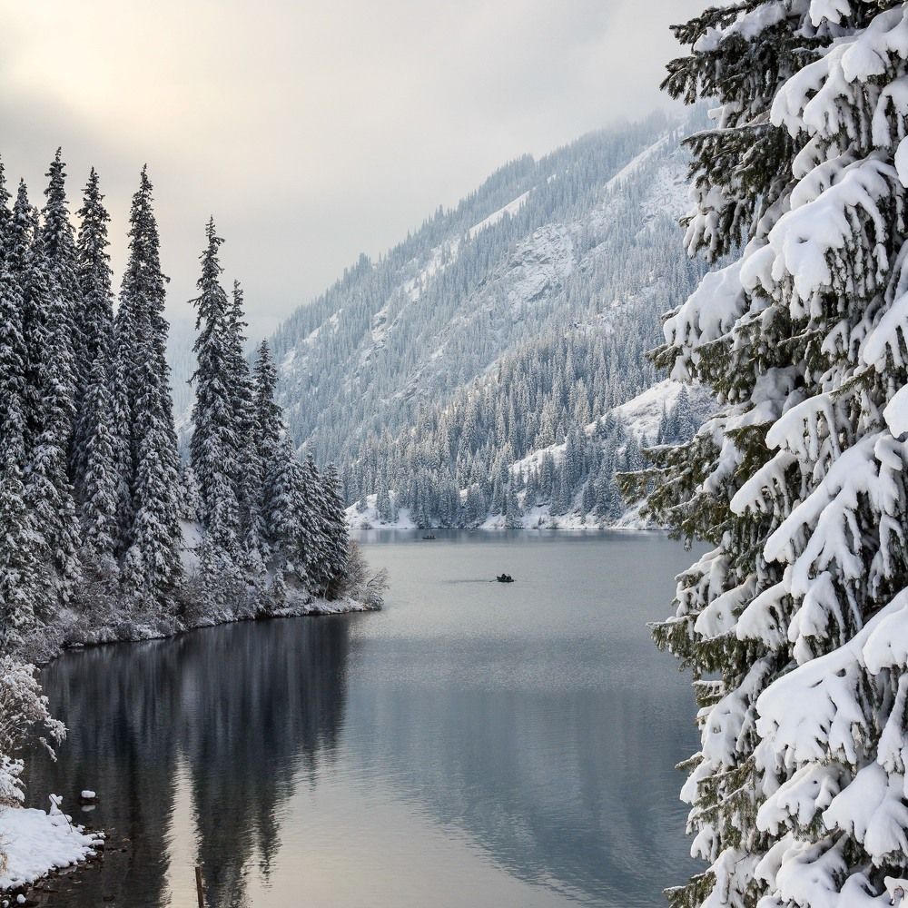 Внезапная зима