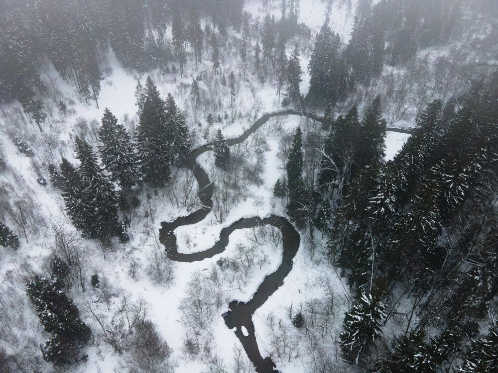 Photograph by Анастасия Юсова