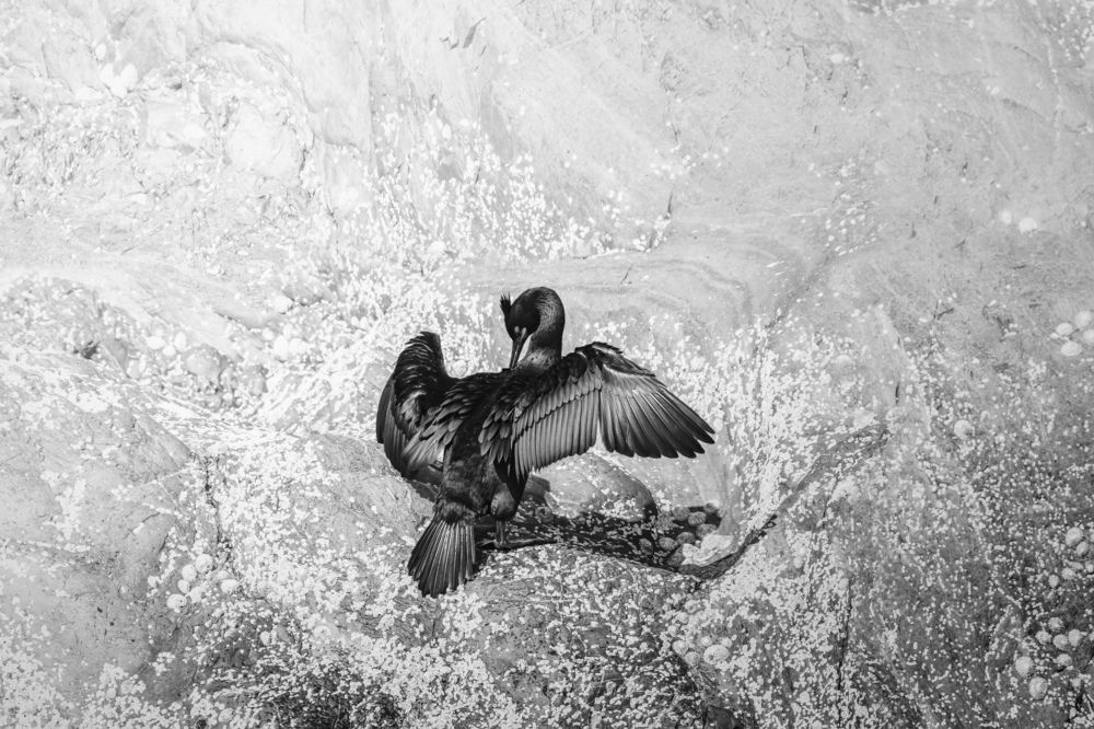 Photograph by Vitaliy Tuzov