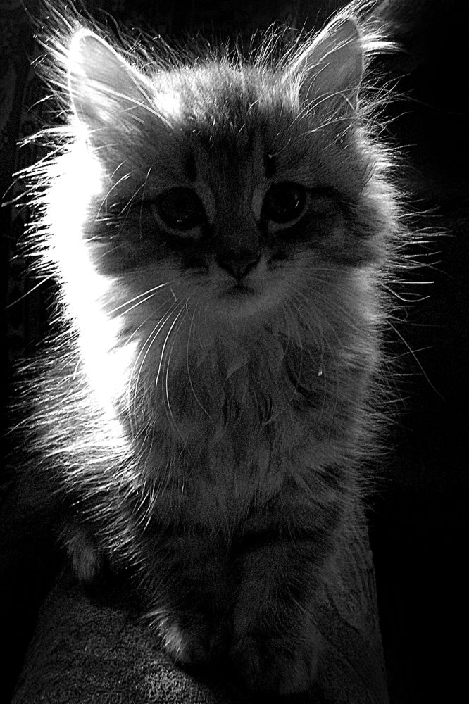 Photograph by Зоя Быкова