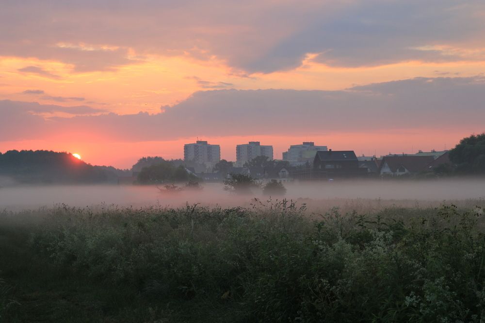 Sunrise over the meadows