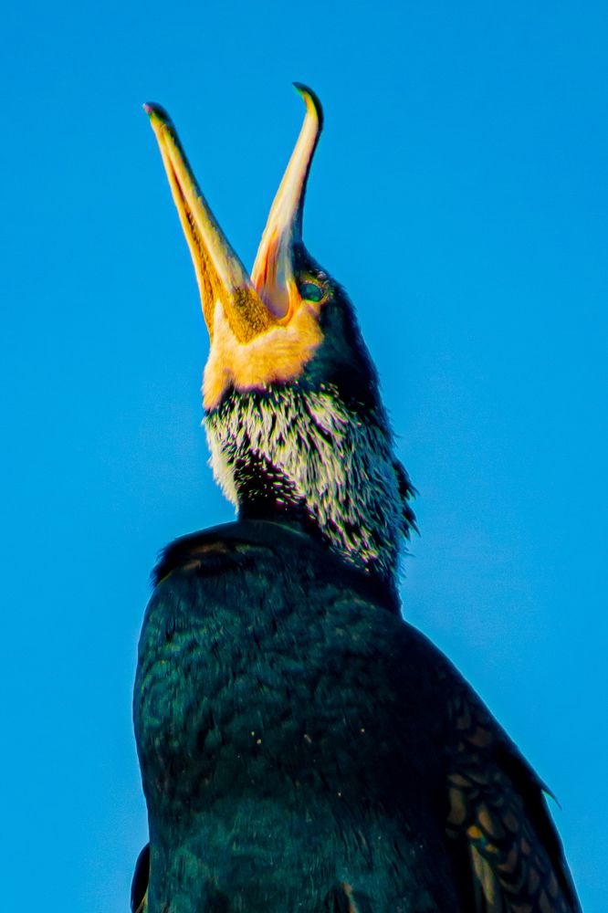 Photograph by Ellen Lichtenheldt