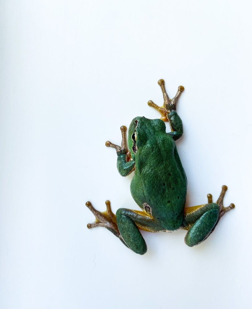 Photograph by Ружана Вячорка