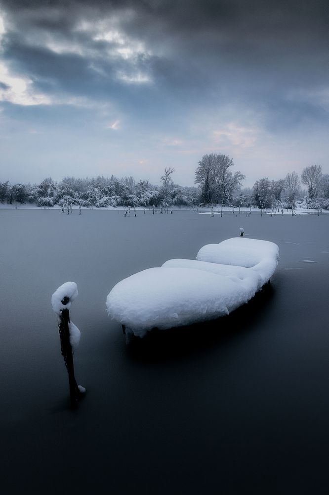 Photograph by Danica Markez