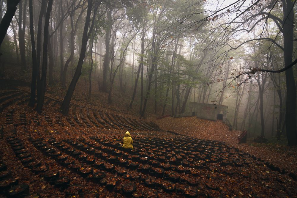 Photograph by Danica Markez