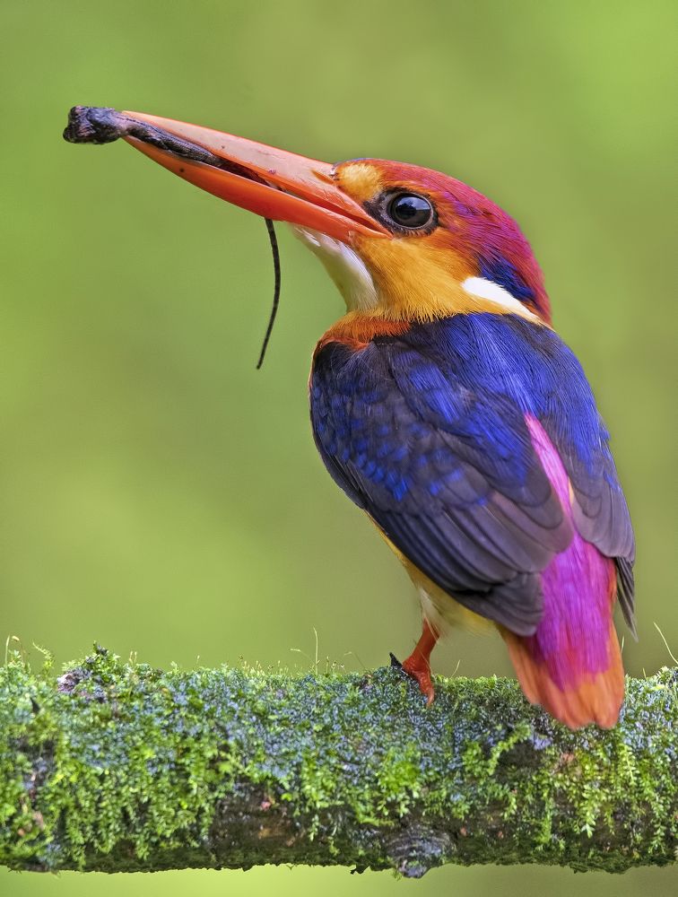 Photograph by Sandip Patil