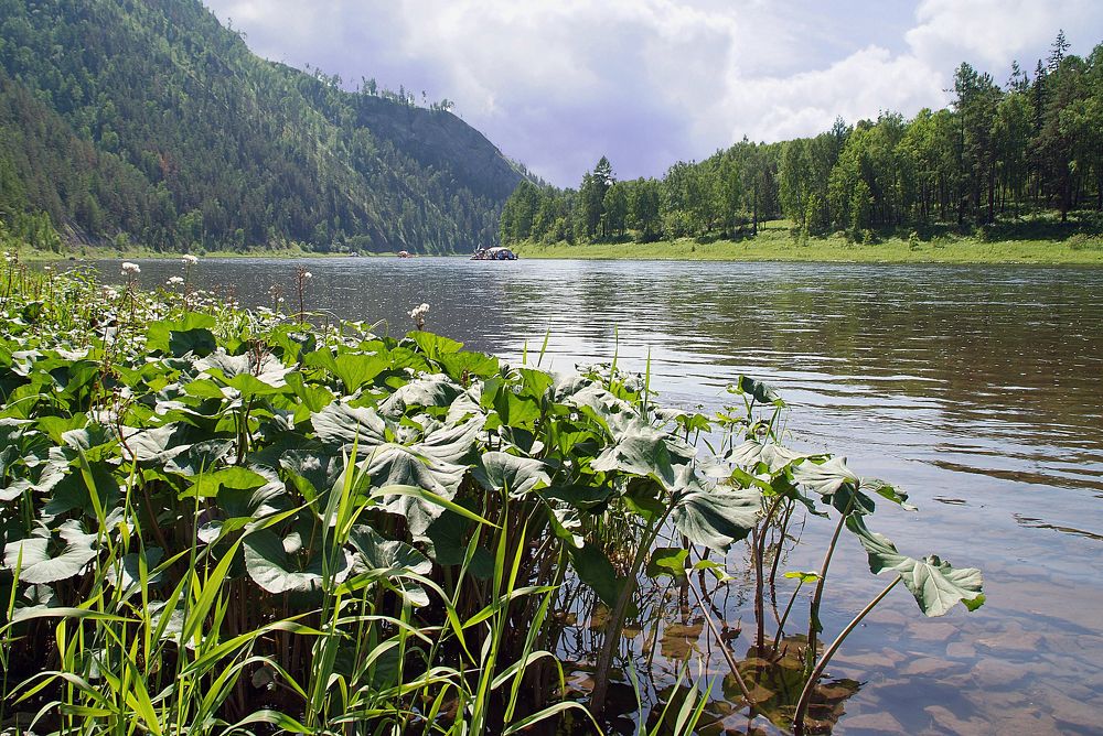 Река Мана