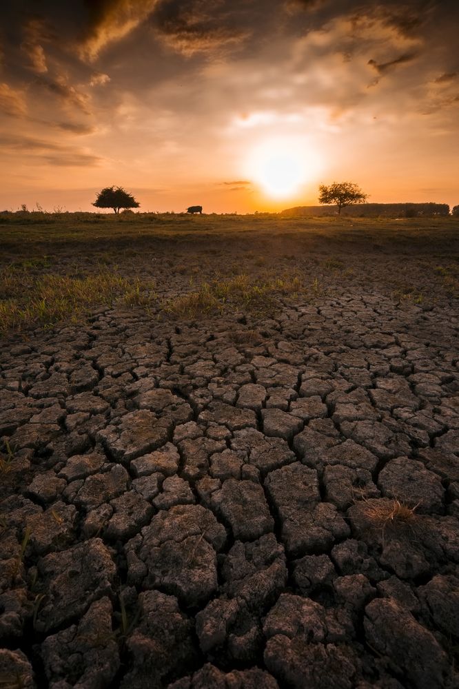 Photograph by Danica Markez